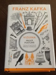 Vizuina. Proza postuma - Franz Kafka