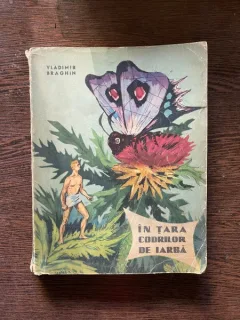 Vladimir Braghin - In tara codrilor de iarba