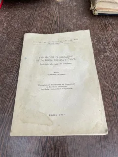 Vladimir Peterca L Immagine di Salomone Nella Bibbia Ebraica e Greaca. Contributo allo studio del Midrash