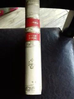 VOCILE NOPTII - AUGUSTIN BUZURA