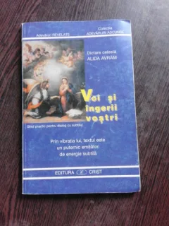 VOI SI INGERII VOSTRI, GHID PRACTIC PENTRU DIALOG CU SUBTILUL