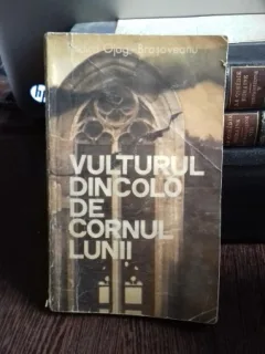 Vulturul dincolo de cornul lumii - Rodica Ojog-Brasoveanu