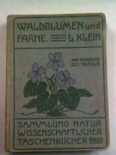 WALDBLUMEN UND FARNE - L. KLEIN  (flori de padure si ferigi)