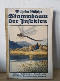 Wilhelm Bolsche - Der Stammbaum der Infekten