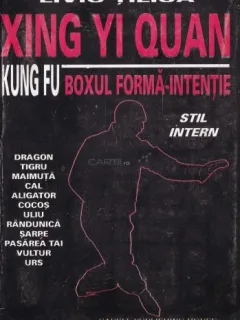 XING YI QUAN - LIVIU TILICA