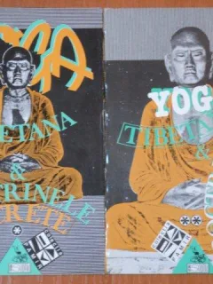 YOGA TIBETANA SI DOCTRINELE SECRETE 2 VOLUME 1993