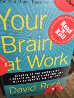 Your Brain at Work - David Rock