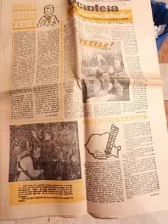 ZIARUL SCANTEIA PIONIERULUI 1 DECEMBRIE/1960