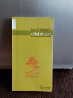 ZIDUL DE AER - DAN UNGUREANU