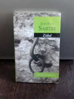 ZIDUL - JEAN PAUL SARTRE