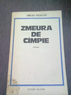 ZMEURA DE CAMPIE - MIRCEA NEDELCIU