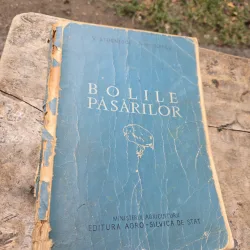 Bolile păsărilor - V. Stoenescu, A. Niculescu