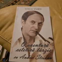 O aventură estetică târzie cu Andrei Strihan - Titus Vîjeu