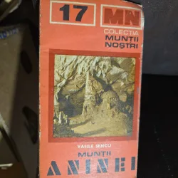 Muntii Aninei - Vasile Sencu