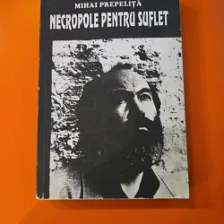 Necropole pentru suflet - Mihai Prepelita - cu dedicatia autorului catre Ion Zubascu