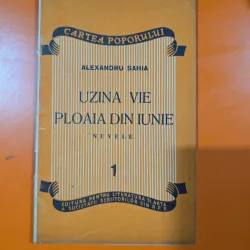 Uzina vie ploaia din iunie (nuvele) - Alexandru Sahia