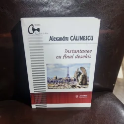 Instantanee cu final deschis - Alexandru Călinescu