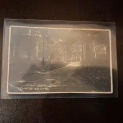 Carte Postala Slanic-Moldova Trei Fagi - (necirculata)