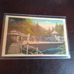 Carte postala ilustrata , Baile Slanic Moldova , Izvorul nr.3 si Aleea de cura - Necirculata