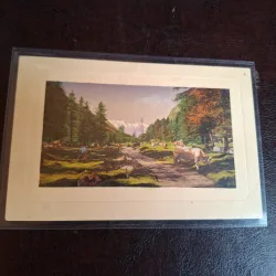 Carte postala ilustrata , cioban cu turma , peisaj - necirculata