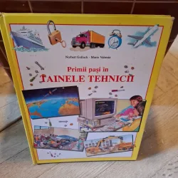 Primii pași în tainele tehnicii - Norbert Golluch, Mario Valsesia