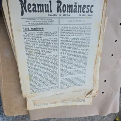 Neamul Românesc - nr 124, 18 octombrie 1926