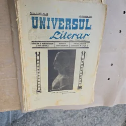 Universul Literar - nr 42, 28 noiembrie 1920