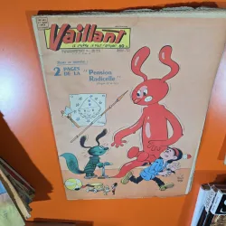 Vaillant nr.681 an 14