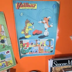 Vaillant nr.753 an 15