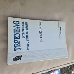 Ţepeneag - Introducere într-o lume de hârtie - Nicolae Bărna