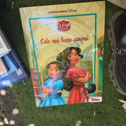 Cele mai bune surori - Disney