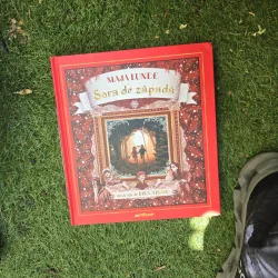 Sora de zăpadă - Maja Lunde