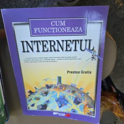 Cum functioneaza Internetul - Preston Gralla