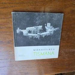 Mănăstirea Tismana - Radu Teodoru