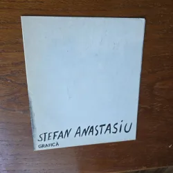 Grafica - Stefan Anastasiu