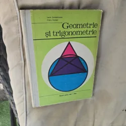 Geometrie și trigonometrie - Laura Constantinescu, Cristu Păltineanu