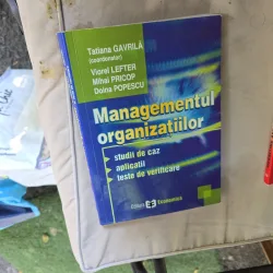 Managementul organizațiilor - Tatiana Gavrilă, Viorel Lefter, Mihai Pricop, Doina Popescu
