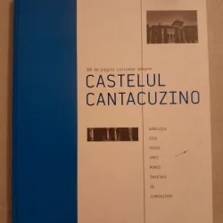 80 de pagini curioase despre Castelul Cantacuzino