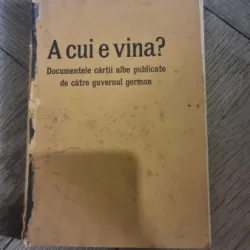 A cui e vina? Documentele cartii albe publicate de catre Gvernul German