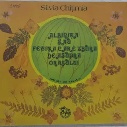 Albinita sau fetita care zbura deasupra orasului - Silvia Chitimia