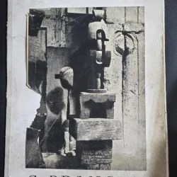 Album C. Brâncuși - V. G. Paleolog