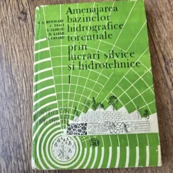 Amenajarea bazinelor hidrografice torentiale prin lucrari silvice si hidrotehnice - N.A. Munteanu vol.I