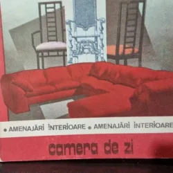 Amenajari interioare, camera de zi - Daniela Radulescu