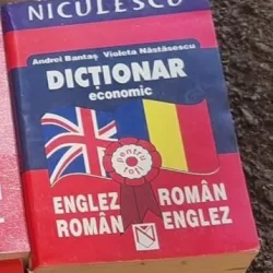 Andrei Bantas - Dictionar Economic Englez-Roman, Roman-Englez