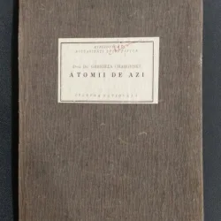 Atomii de azi - Gabriela Chaborski