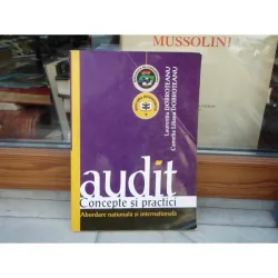 AUDIT CONCEPTE SI PRACTICI ABORDARE NATIONALA SI INTERNATIONALA , LAURENTIU DOBROTEANU