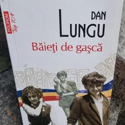 Baieti de gasca - Dan Lungu