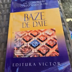 Baze de date - Anca Gheorghiu, Corina Maria Bichis