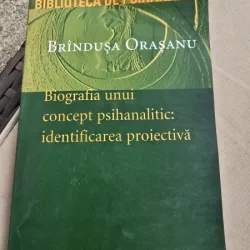 Biografia unui concept psihanalitic, identificarea proiectiva - Brindusa Orasanu