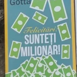 Brian Gotta - Felicitari! Sunteti Milionar!